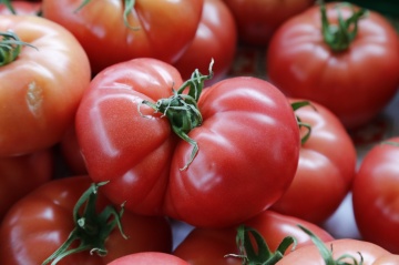 Berner Rose (8 seminte) tomate roz nedeterminate, carnoase si gustoase, pentru sera, Sekluva - Img 3