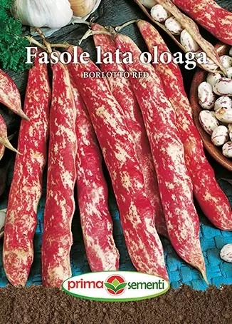 Borlotto Red oloaga (100 gr) seminte fasole pitica lata tarcata pentru boabe, Prima Sementi - Img 2
