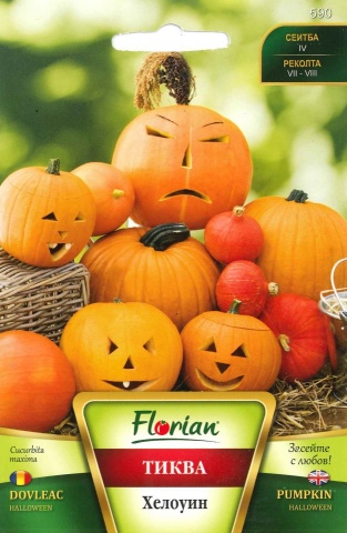 Dovleac HALLOWEEN - 2 gr - Seminte de dovleac Florian Bulgaria