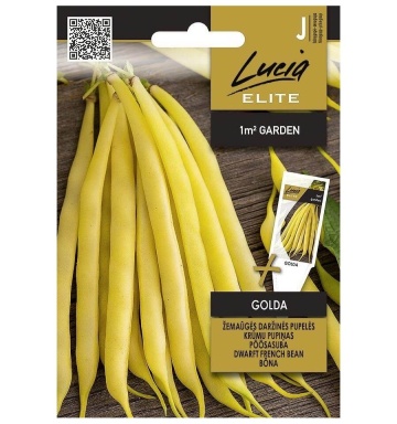 Golda (75 seminte) fasole pitica pastai galbene, cilindrice, productiva, rezistenta la boli, Seklos - Img 2