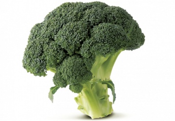 IZK Iskra (150 seminte) de broccoli soi nou tardiv, productie foarte buna, IZK Bulgaria