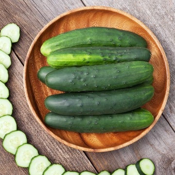 Marketmore BIO (30 seminte) castraveti semilungi BIO, soi pentru salata, Seklos - Img 2