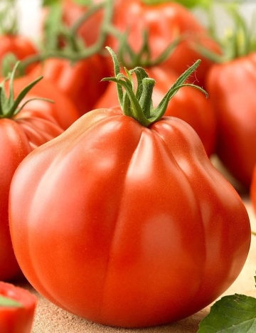 Or Pera D' Abruzzo (60 seminte) tomate tip Beef inima de Albenga, deosebit de gustoase, PlantiCo