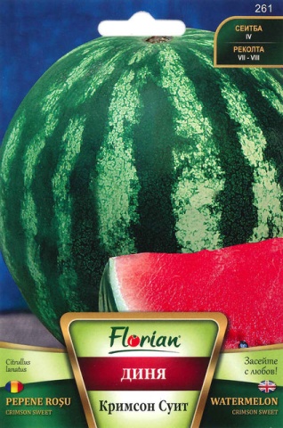 Pepene verde Crimson Sweet (200 seminte) soi semitimpuriu coaja dungata, miez zemos, dulce, Florian - Img 2