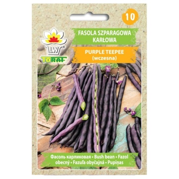 Purple Teepee (30 gr) seminte fasole pitica, pastai mov cilindrice, recolte mari, Toraf - Img 4