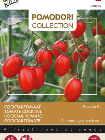 Ravello F1 (8 seminte) tomate cocktail mici, in forma de prune, Pomodori Collection, Buzzy - Img 2