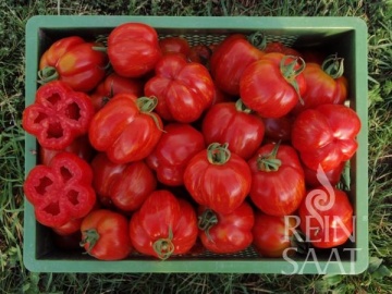 Red Cavern BIO (30 seminte) tomate striate rosu cu galben, carnoase, aromate, ReinSaat - Img 4