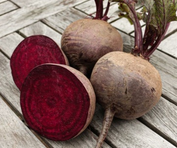 Rote Kugel 2 (80 gr) seminte sfecla timpurie, rosu inchis, coaja neteda ferma, Seklos - Img 3