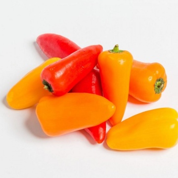 Adelin ( 80 seminte) ardei snack orange semitimpuriu, crestere nedeterminata, Agrosel