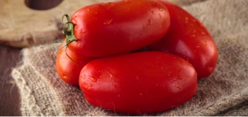 Agro F1 (7 seminte) rosii nedeterminate tip San Marzano, fructe alungite si carnoase, gust excelent, Sperli - Img 2