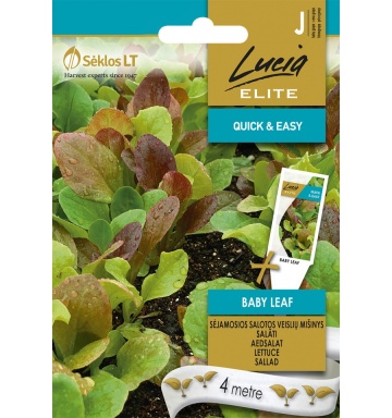 Baby Leaf (4 metri) banda seminte 3 soiuri de salata frunze mici, verzi si rosii, Seklos - Img 2