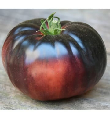 Black Prince (60 seminte) rosii negre soi stravechi culoarea mahon inchis, Seklos