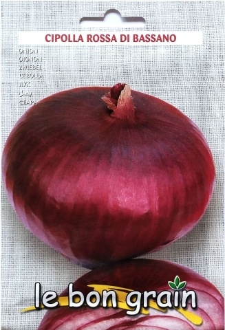 Ceapa rosie Cipolla Bassano (1500 seminte) soi italian aplatizat, gust dulce, Raci - Img 2