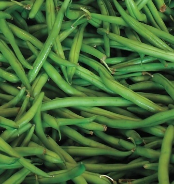 Corona (50 gr) seminte fasole urcatoare pastai cilindrice verzi, boabe albe mari, Kertimag