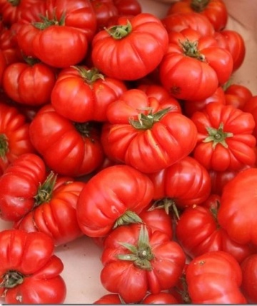 Cosimo F1 (10 seminte) rosii hibrid nedeterminat, rezistent la boli, tomate plate, puternic costate, foarte gustoase, Sekluva