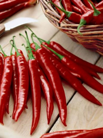 De Cayenne (45 seminte) ardei iute, iuteala medie, gust foarte aromat, Agrosel - Img 1