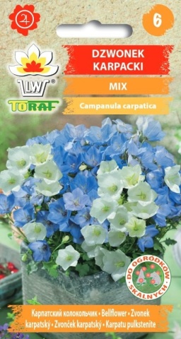 Dzwonek Karpacki - Campanula carpatica mix (0,3 gr) seminte Clopotei pereni albi si albastri, Toraf - Img 2