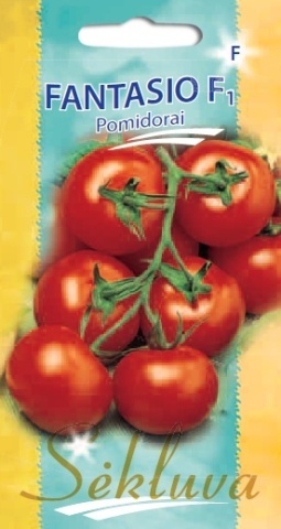 Fantasio F1 (10 seminte) tomate semitimpurii randament ridicat, hibrid frantuzesc, Sekluva - Img 2