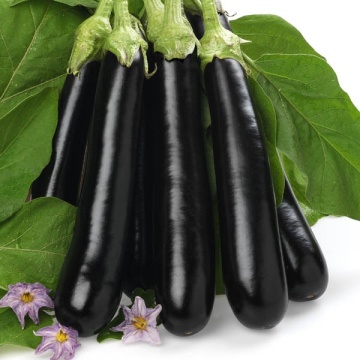 Giralda F1 (20 seminte) vinete fructe mari, alungite, negre, pulpa ferma, alba, Seklos - Img 1