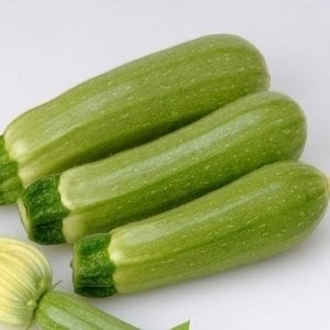 Kiwi F1 (10 seminte) dovlecei hibrid semitimpuriu, fructe uniforme, verde deschis, Sakata