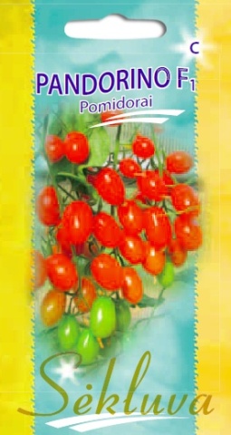 Pandorino F1 (10 seminte) tomate cherry prunisoare nedeterminate, dulci, Sekluva - Img 2