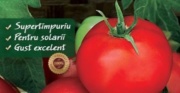 Rosii Final F1 (1000 seminte) tomate semideterminate, productivitate mare, Florian - Img 3