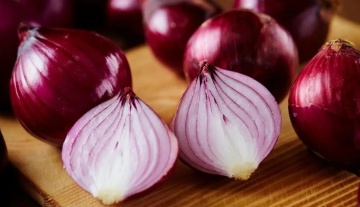 Rossa da Inverno (500 gr) ceapa rosie rotunda, rezistenta la pastrare dupa recoltare, Profit Seeds - Img 2