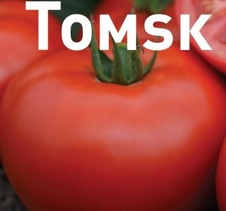 Tomsk F1 (1000 seminte) rosii mari semitimpurii determinate, Bejo - Img 2