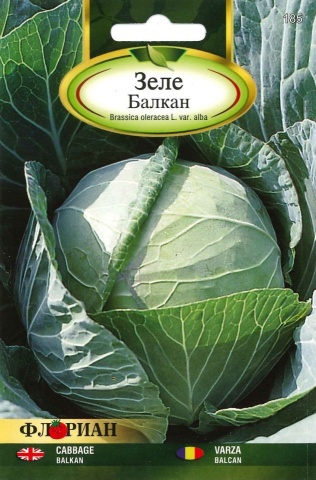 Varza de toamna Balcan (25.000 seminte) varza Balkan, soi tardiv bulgaresc frunze subtiri, foarte productiv, Florian - Img 2