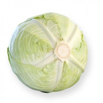 Zuleima F1 (2500 seminte) varza alba cu frunze exterioare fine si de culoare verde deschis fiind destinata consumului in stare proaspata cat si pentru procesare(decapare), Rijk Zwaan