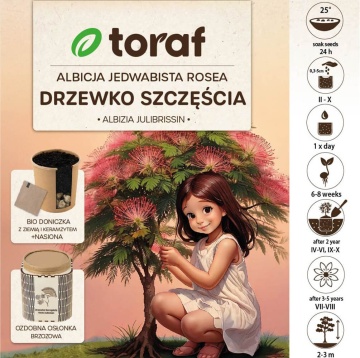 Arbore de Matase (1 set pentru plantat) seminte arbore cu flori delicate alb-roz, parfumate, Toraf - Img 3