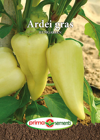 Ardei gras Hungarian (100 seminte) de ardei gras soi rezistent la boli, Prima Sementi - Img 1