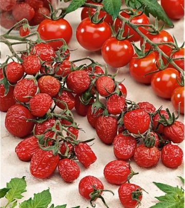 Arielle F1 (5 seminte) rosii tip cherry, fructe mici si rosii, recomandate pentru uscare, Kiepenkerl - Img 2