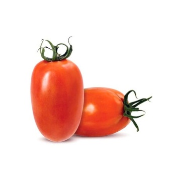 Bestial F1 (10 seminte) tomate semitimpurii nedeterminate pentru cultivare in sera, Sekluva - Img 3