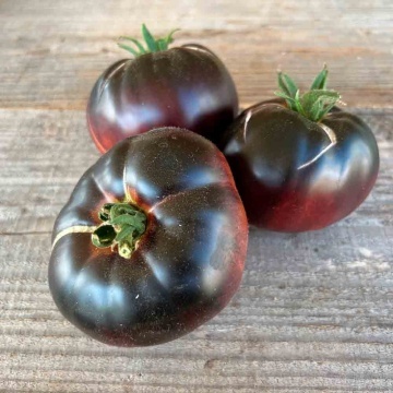 Black Beauty (30 seminte) tomate negre cu rosu, soi semi-timpuriu nedeterminat, Seklos - Img 2