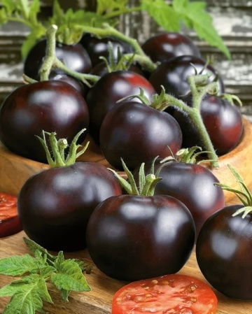 Blackball (60 seminte) rosii negre-indigo tip cherry, culoare negru intens, rosii exotice, Seklos