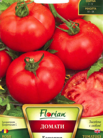 Bononia - 50 gr - Seminte de Tomate pentru camp Soi determinat semitimpuriu de la Florian Bulgaria - Img 2