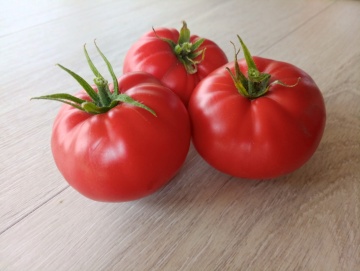 Brandy Boy F1 (6 seminte) tomate roz nedeterminate, foarte mari, gust deosebit, GaraFarm - Img 2