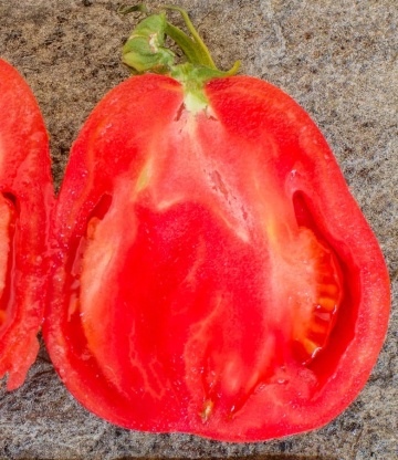 Canestrino (30 seminte) soi remarcabil de rosii nedeterminate mari, carnoase, costate, ChemyFarm
