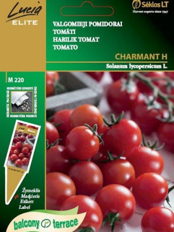 Charmant F1 (30 seminte) de rosii semi-timpurii, soi pretuit pentru fructele dulci si delicioase, Seklos - Img 3