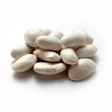 Coco White (180 gr) seminte fasole oloaga, timpurie pentru boabe, Agrosem - Img 2