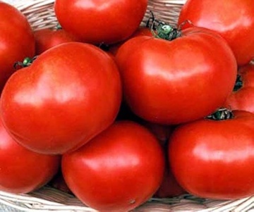 Fatima F1 (15 seminte) tomate mari semitimpurii nedeterminate, hibrid german, Sekluva - Img 3