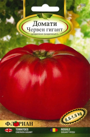 Gigant Rosu (60 seminte) rosii nedeterminate foarte mari pana la 2 kg, Florian