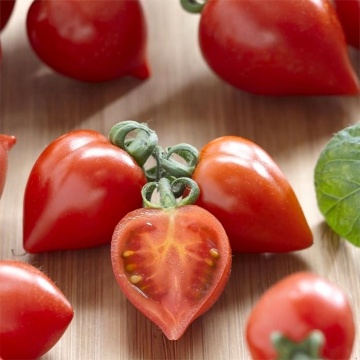 Heartbreakers F1 Twiggy Red (12 seminte), rosii cherry in forma de inima pentru ghiveci