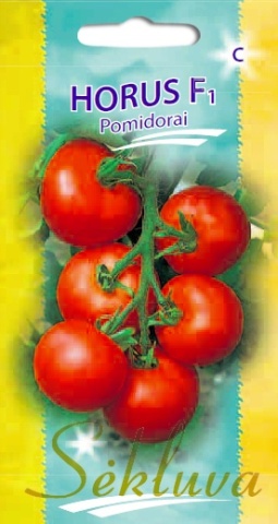 Horus F1 (10 seminte) tomate hibrid italian timpuriu nedeterminat, randament ridicat, Sekluva - Img 2
