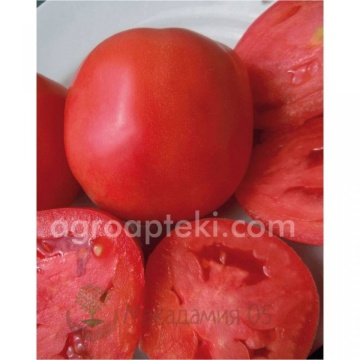Kruna (3000 seminte) de tomate timpurii determinate roze pentru camp, Superior Serbia - Img 2