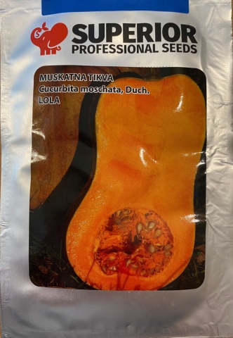 Lollita (5 gr) dovleac dulce de muscat tip para, Superior - Img 2