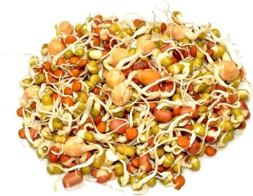 Mieszanka Pikantna - Amestec picant (20 gr) seminte pentru germeni sau vlastari, amestec de plante cu aroma picanta, Toraf - Img 2