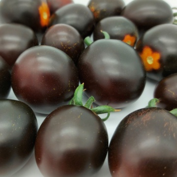 Night Shade F1 (5 seminte) tomate cherry snack alungite, culoare neagra, gust unic dulce, Seklos - Img 2