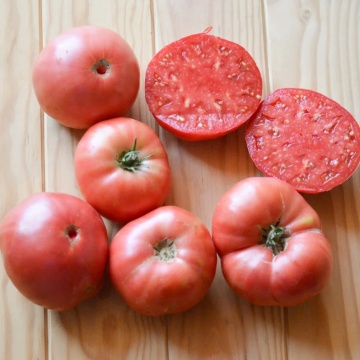 Ponderosa (1000 seminte) tomate roz tip beef, fructe mari zemoase, Profit Seeds - Img 4